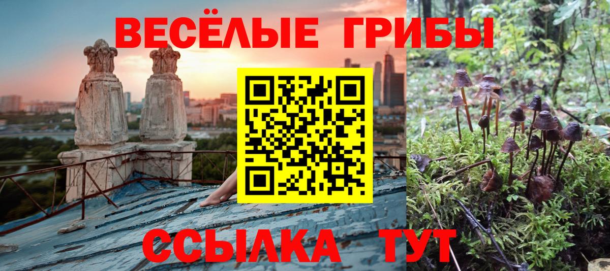 Псилоцибиновые грибы Magic Shrooms Междуреченск